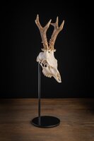 Waidmetall Trophäenständer Classic Round