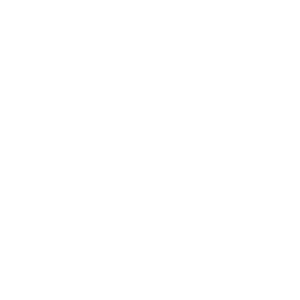 Truck Master