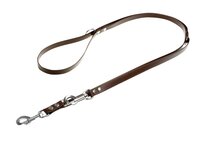 Laisse Biothane Mystique