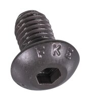Forstreich Linsenkopfschraube M5 x 8 für TR 270 light