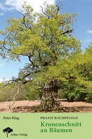 Praxis Baumpflege – Kronenschnitt an Bäumen