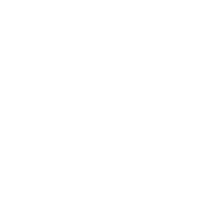 Nitecore