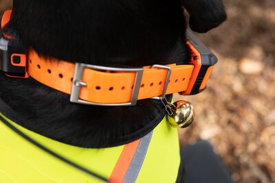 hundekissen rund Beeztees JAXX - orthopädisches Hundebett rund - grau
