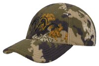 Blaser Cap Silence