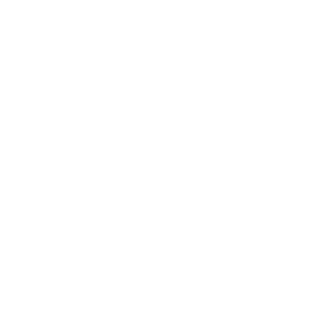 PSS Pfeiffer Sicherheitssysteme