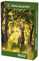 Naturquartett Wald