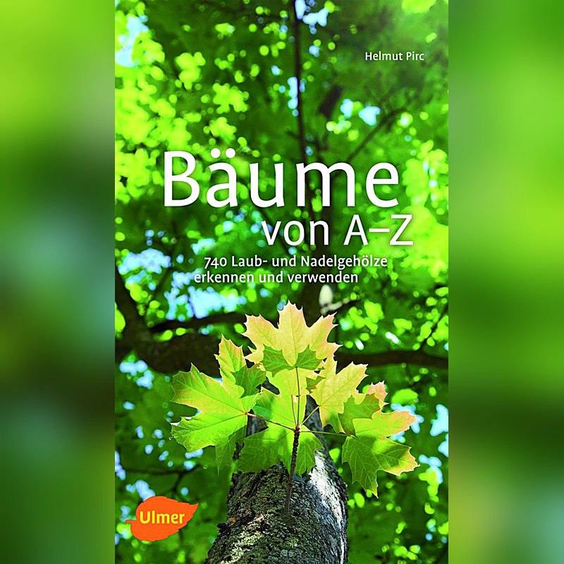Bäume von A-Z – 740 Laub- und Nadelgehölze erkennen und verwenden