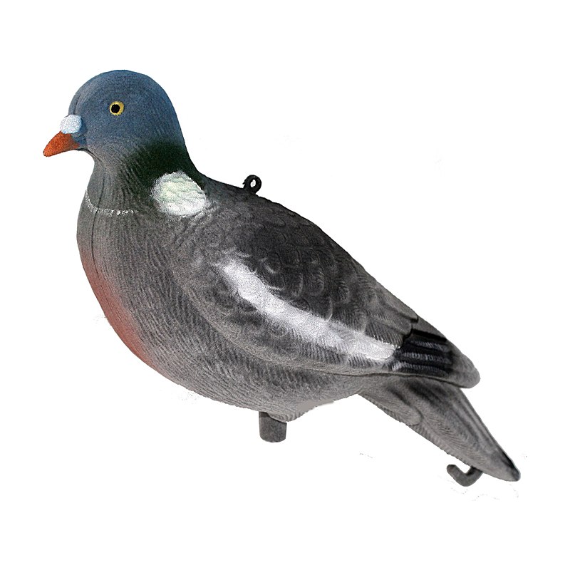 Beflockter Lockvogel Taube