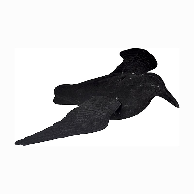 Beflockter, fliegender Lockvogel Krähe