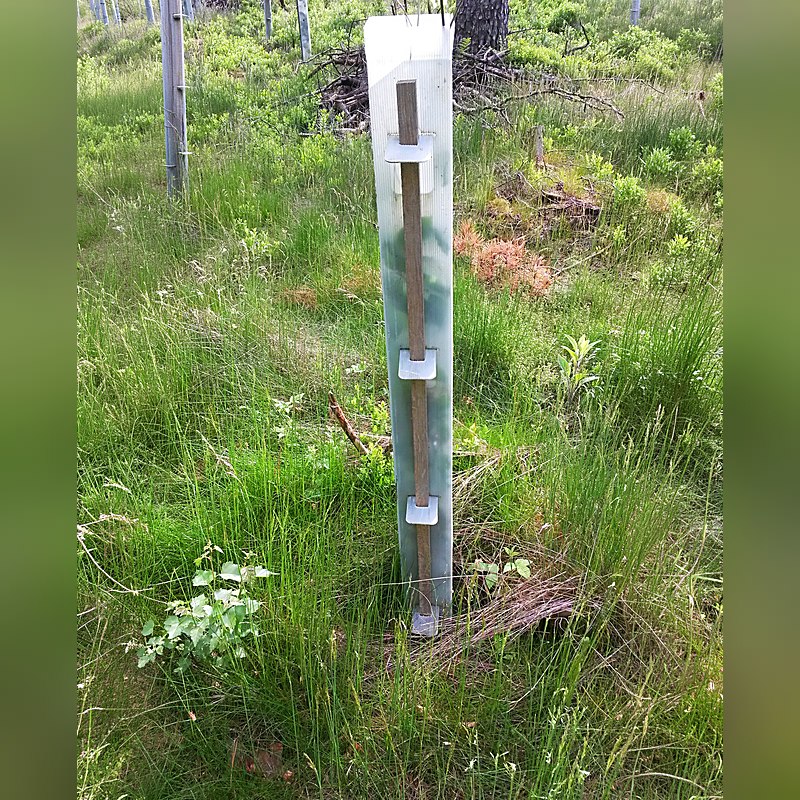 Plantagard Wuchshülle ClimaVent, Höhe 90 cm