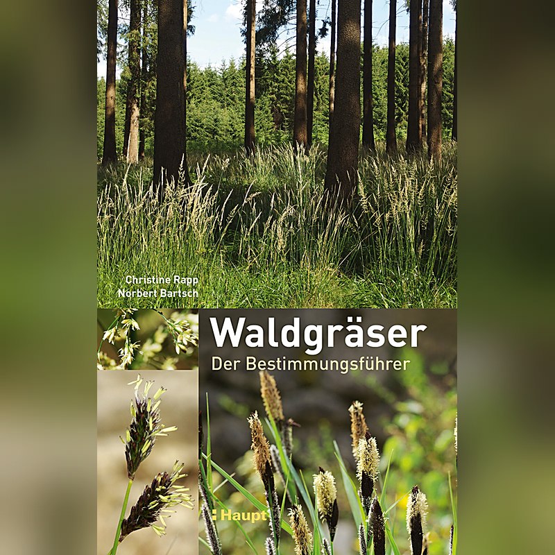 Waldgräser – Der Bestimmungsführer