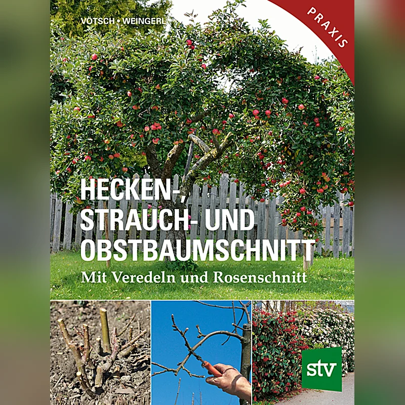 Hecken-, Strauch- und Obstbaumschnitt – mit Veredeln und Rosenschnitt