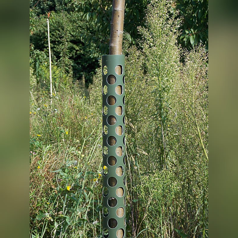 Baumschutz Anti-Knabb, 80 cm