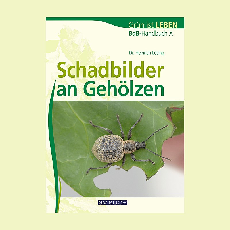 Schadbilder an Gehölzen