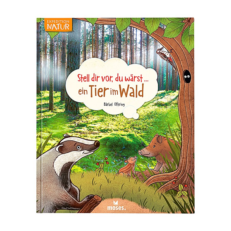 Stell dir vor, du wärst ein Tier im Wald