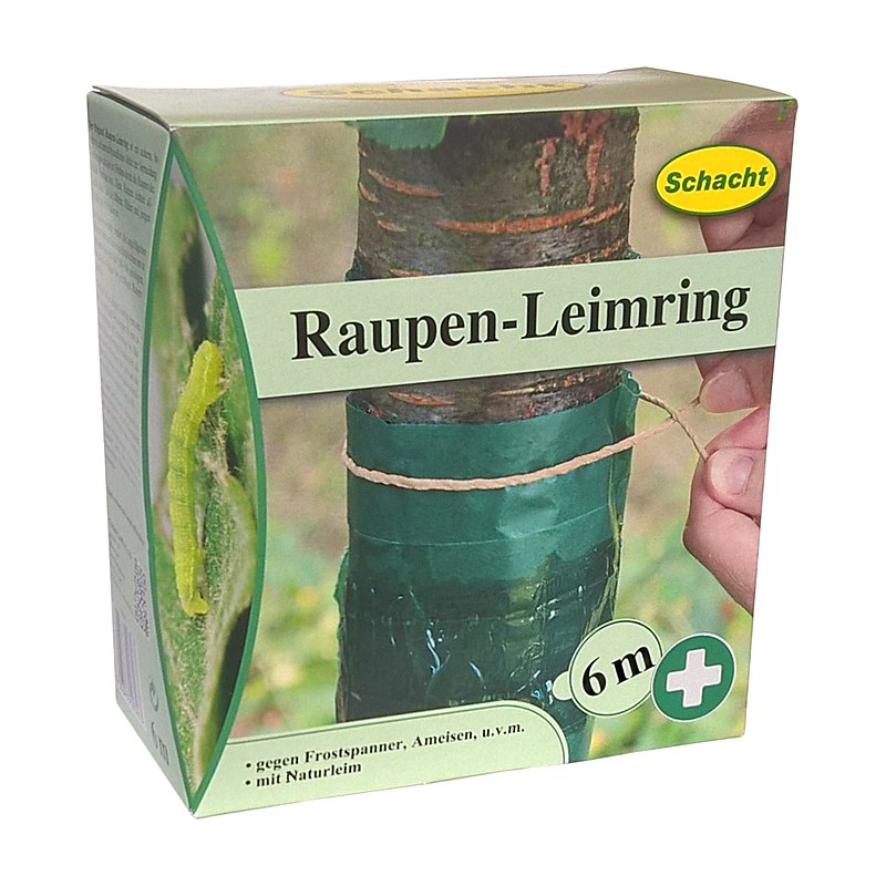 Raupen-Leimring 6 m