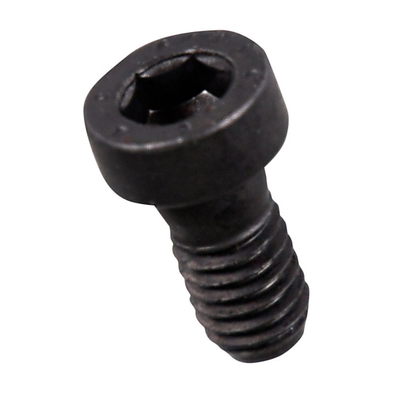 Forstreich Zylinderkopfschraube M6x12 für TR 30