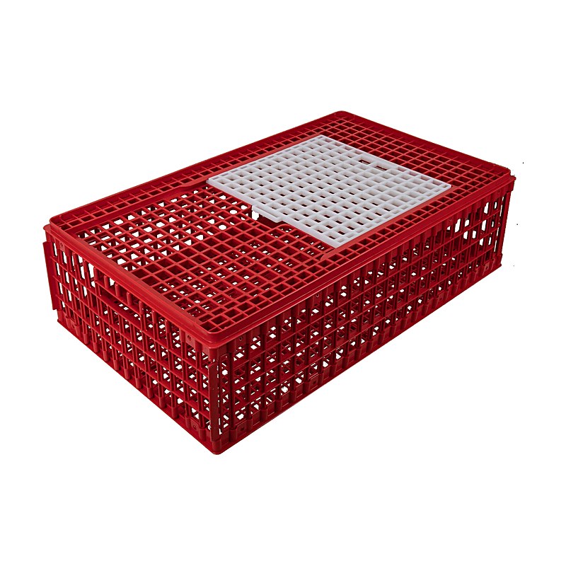 Kerbl Geflügel-Transportbox