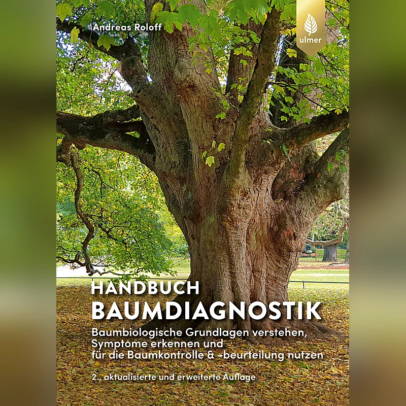 Handbuch Baumdiagnostik – Baumkörpersprache und Baumbeurteilung