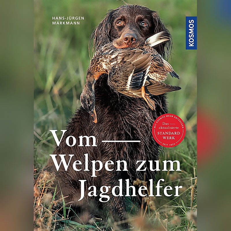 Vom Welpen zum Jagdhelfer