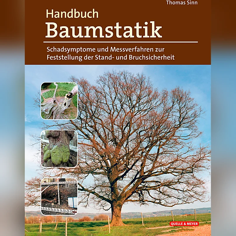 Handbuch Baumstatik – Schadsymptome und Messverfahren zur Feststellung der Stand- und Bruchsicherheit