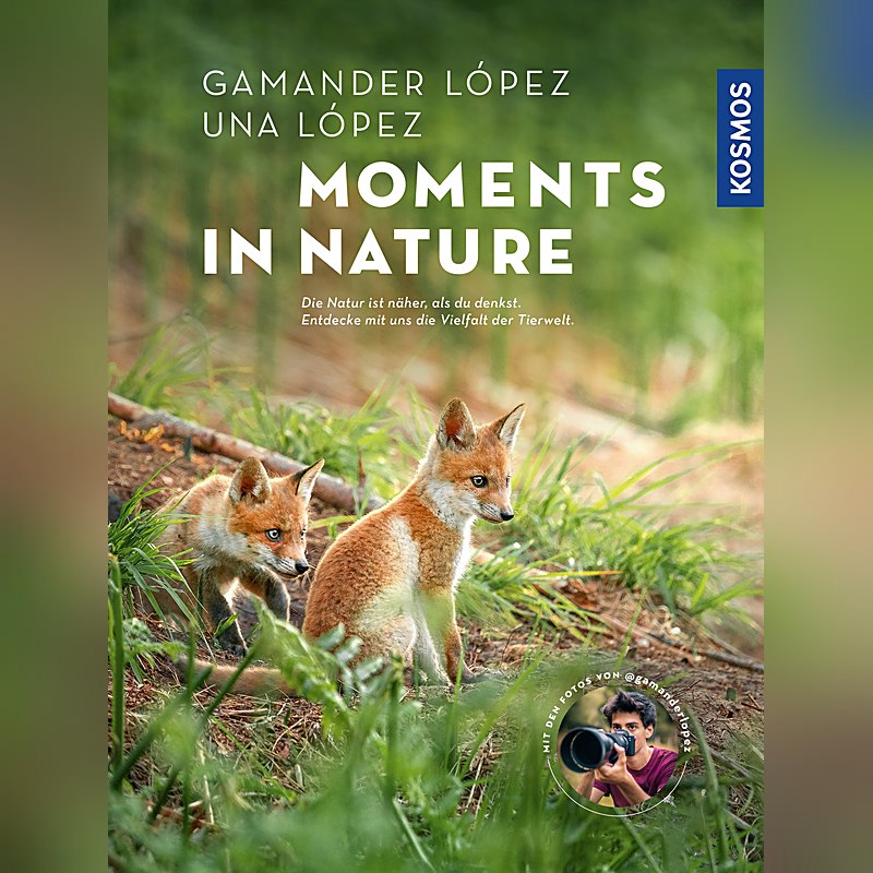 Moments in Nature
