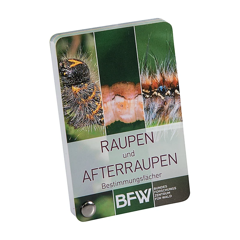 Bestimmungsfächer - Raupen und Afterraupen