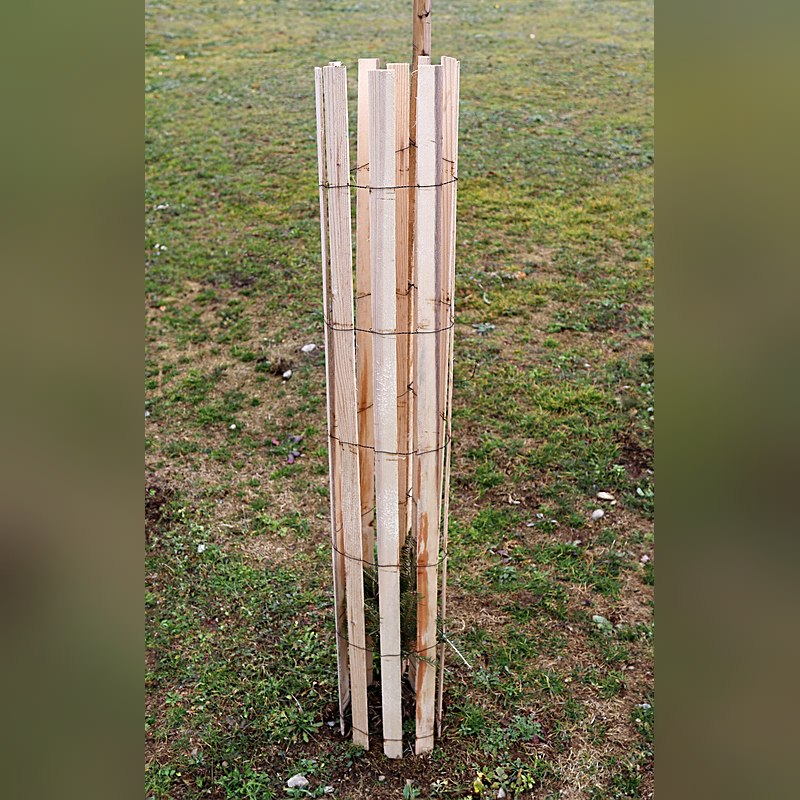 Witasek Bio-Wuchshülle Witapro Freiwuchs 300 Tube