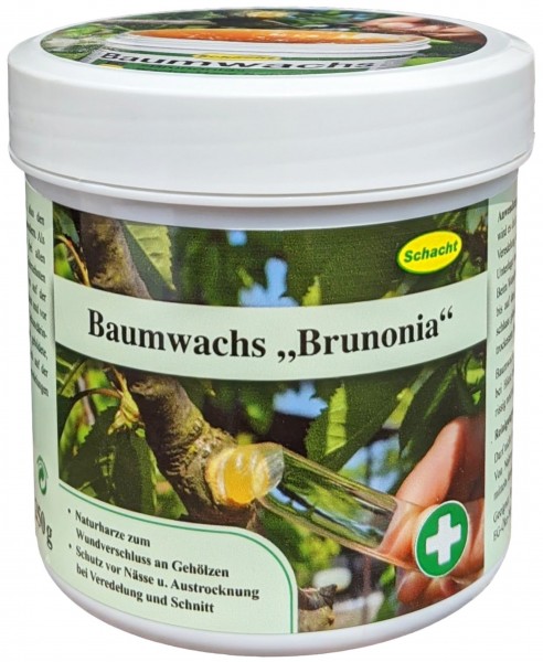 Schacht Baumwachs Brunonia