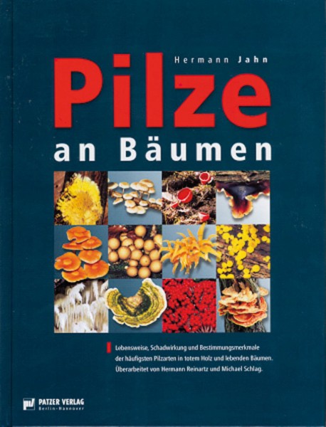 Pilze an Bäumen