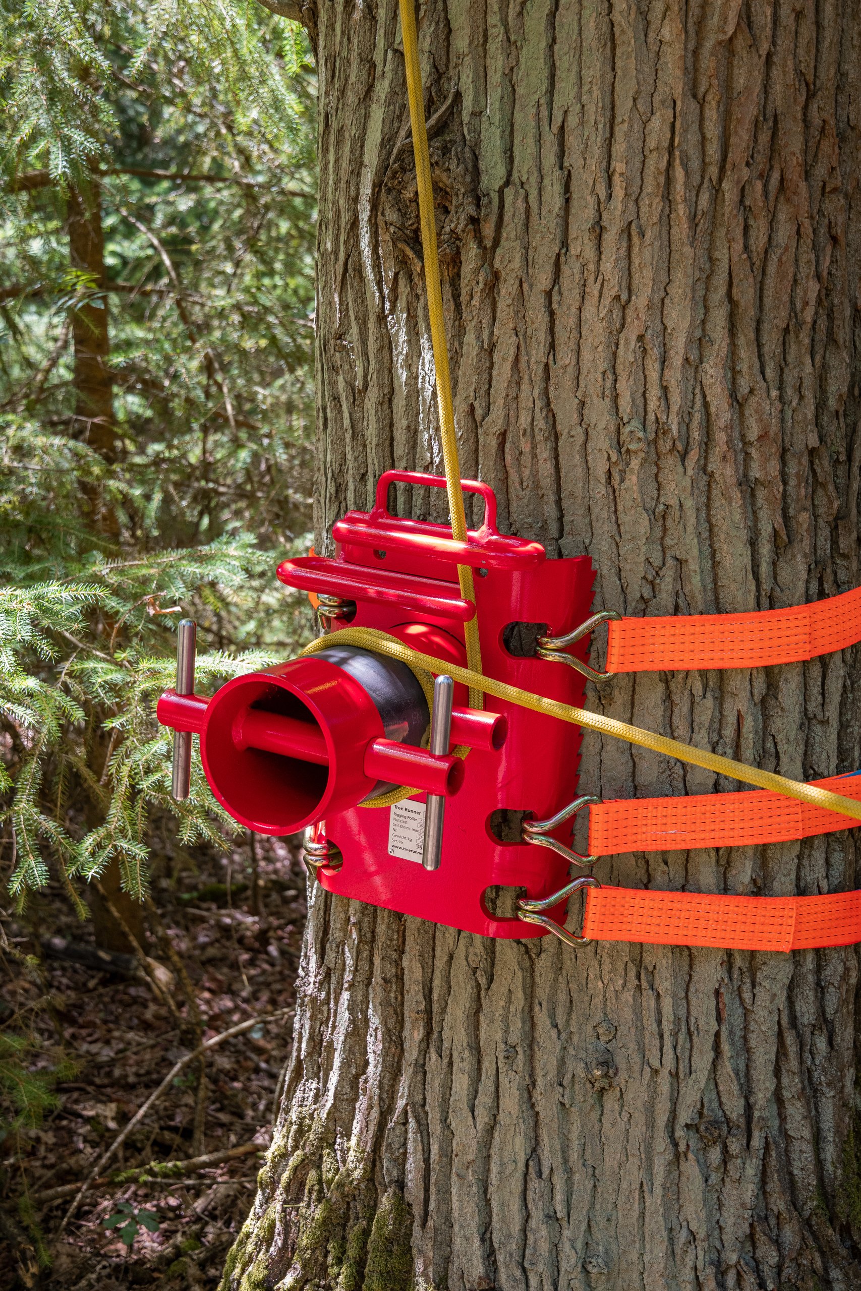 runner tree