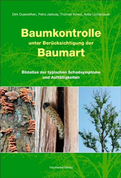 Baumkontrolle unter Berücksichtigung der Baumart