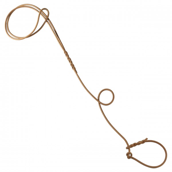 Lederleine