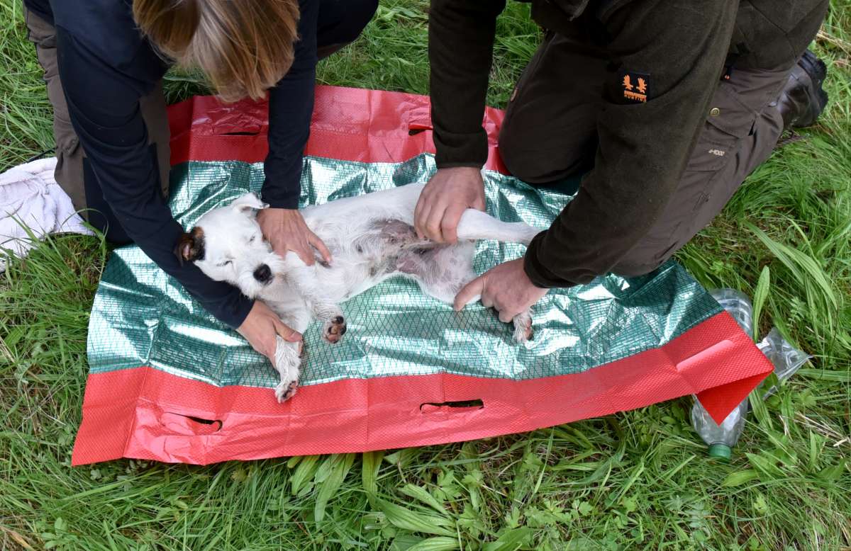 Dog Rescue Blanket Gun Dog Accessories Gun Dog