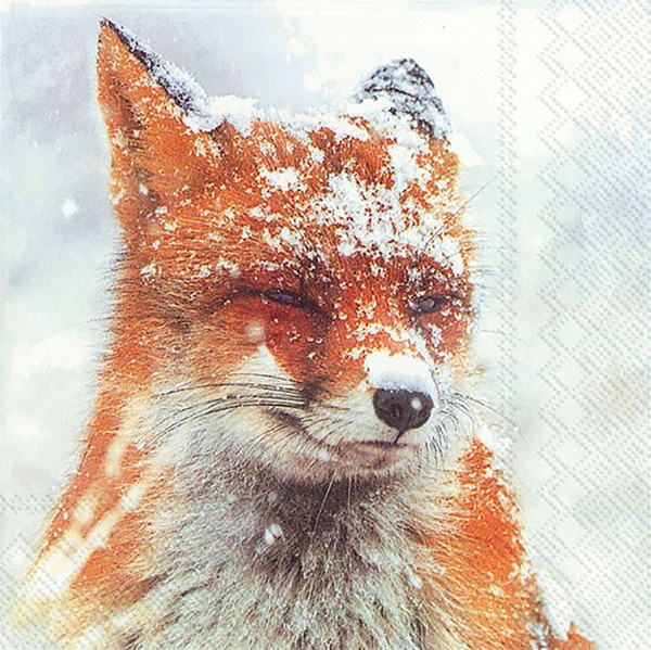 Ihr Servietten Winter Fuchs