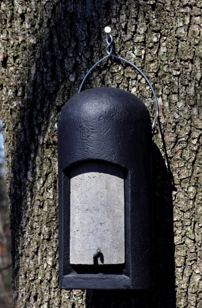 Schwegler Kleinfledermaushöhle 3FN