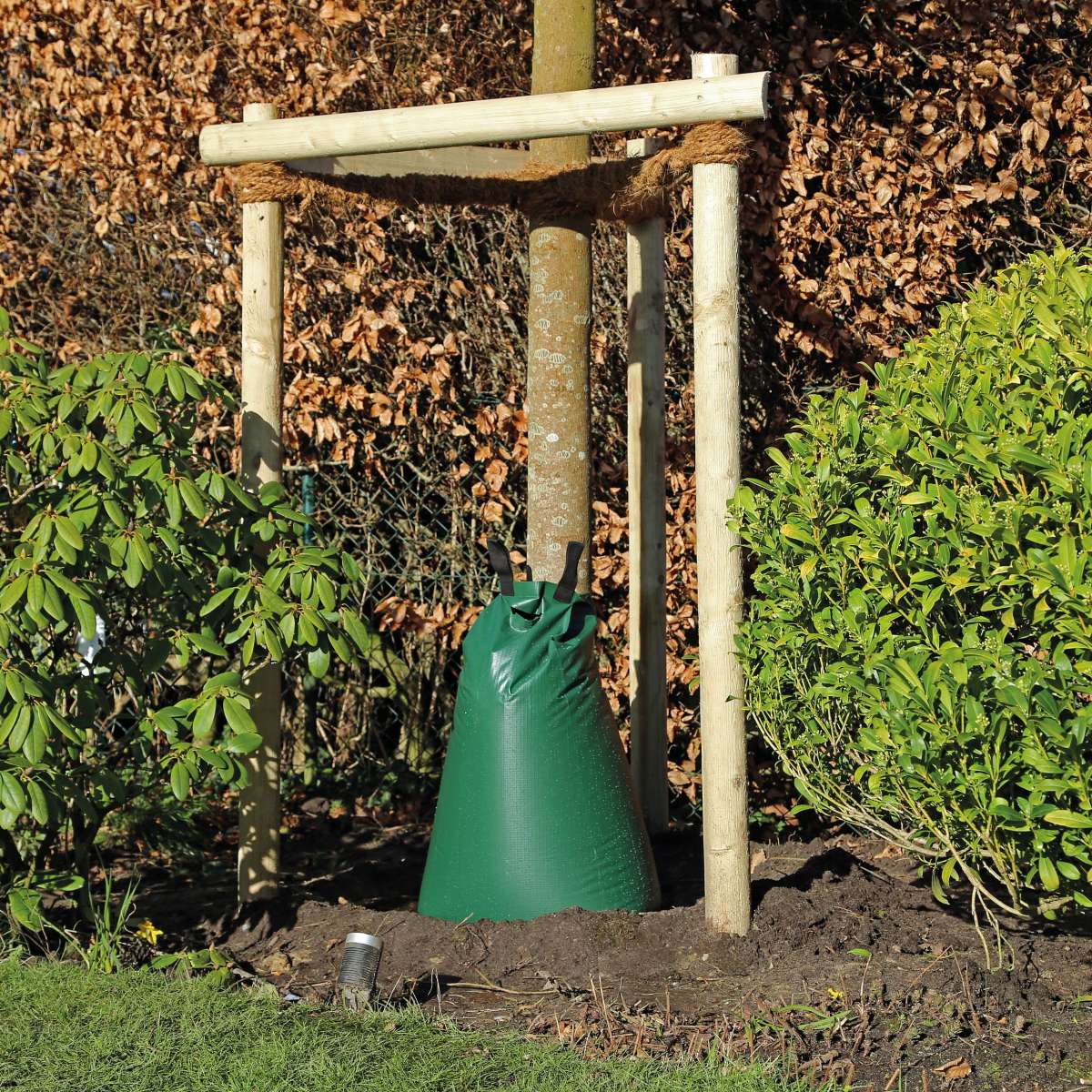 Baumbewässerung Growtect Hydrop PVC Gießgeräte Bewässerung