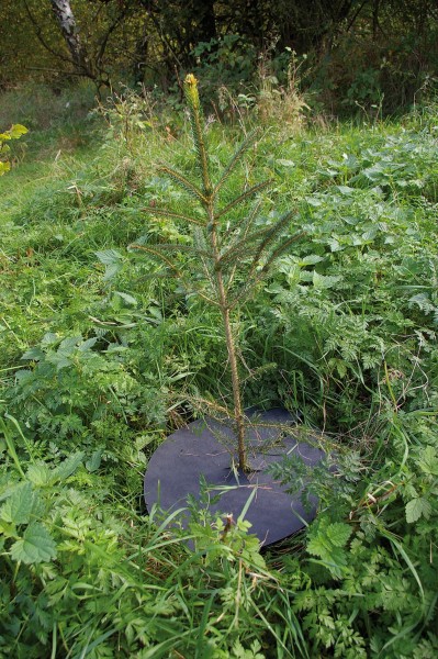 PlantaGard Texon 610 Mulchplatte