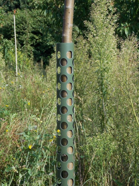 PlantaGard Baumschutz Anti-Knabb