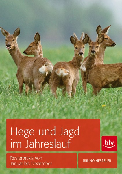 Hege und Jagd im Jahreslauf - Revierpraxis von Januar bis Dezember