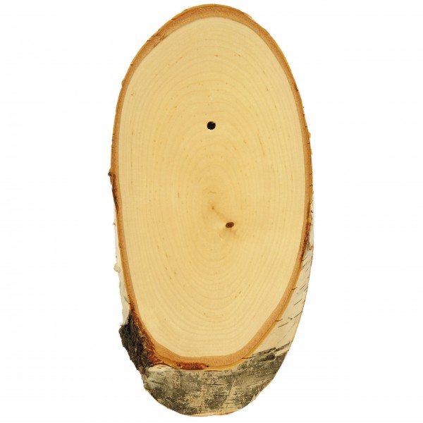 Gehörnbrettchen Rehbock, Birke