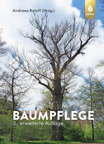 Baumpflege, Baumbiologische Grundlagen und Anwendungen