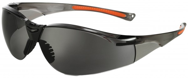 Univet Schutzbrille 513