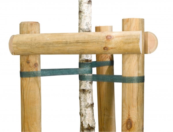 Baumpfahlbänder