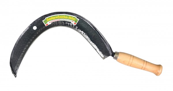 Grassichel