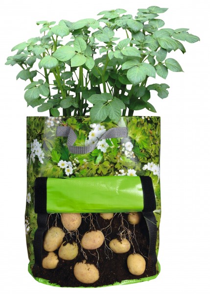 Kartoffelpflanztasche