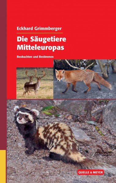 Die Säugetiere Mitteleuropas - Beobachten und Bestimmen